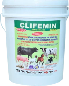 Clifemin-Gold-Metho-Chelated-Bucket-Care-Life-Vet-Pharma-Bye-Pass-Fat-Protein-with-Vitamin-H-Biotin-Animal-Feed-Supplement