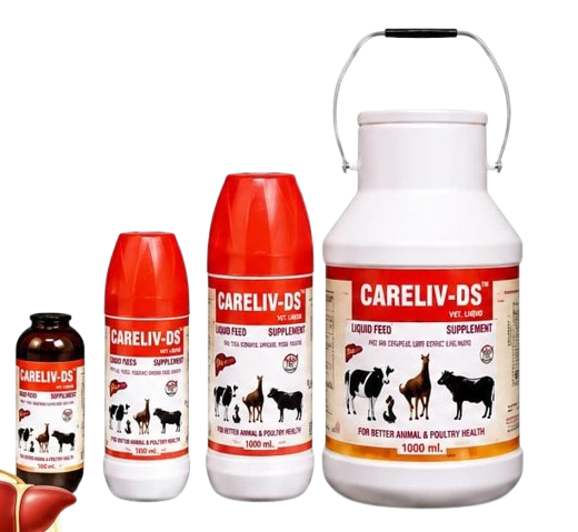CARELIV-DS