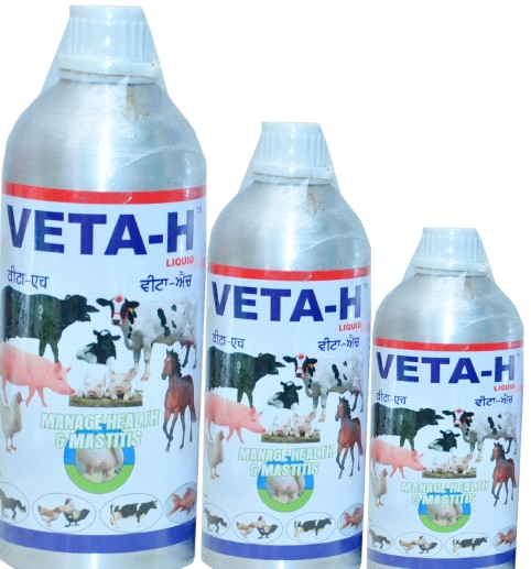 VETA-H