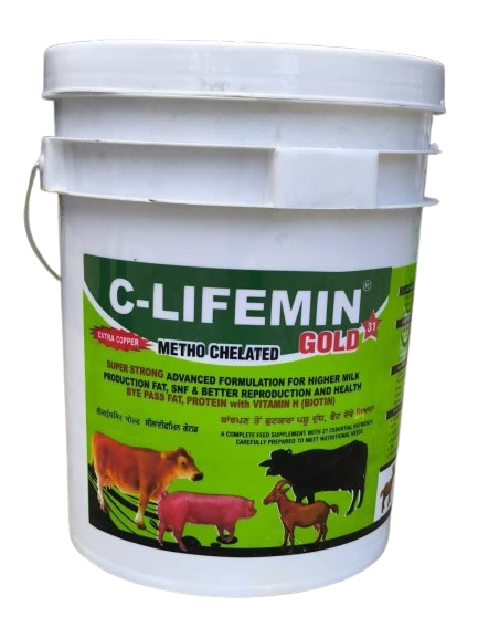 CLIFEMIN GOLD